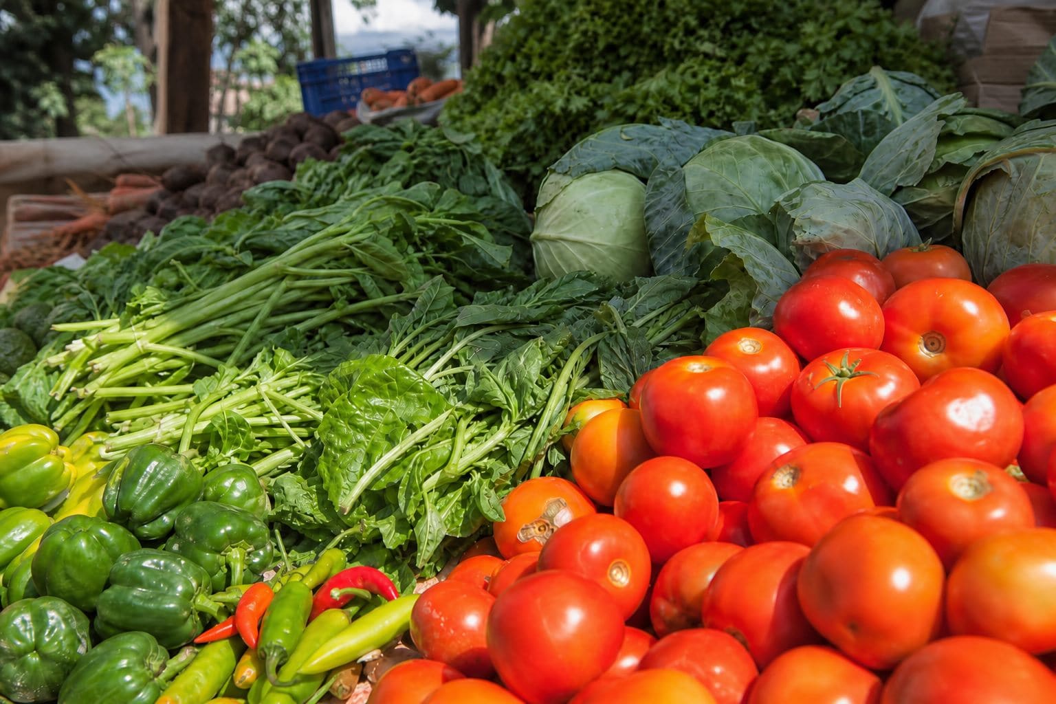 Fresh Fruits & Vegetables